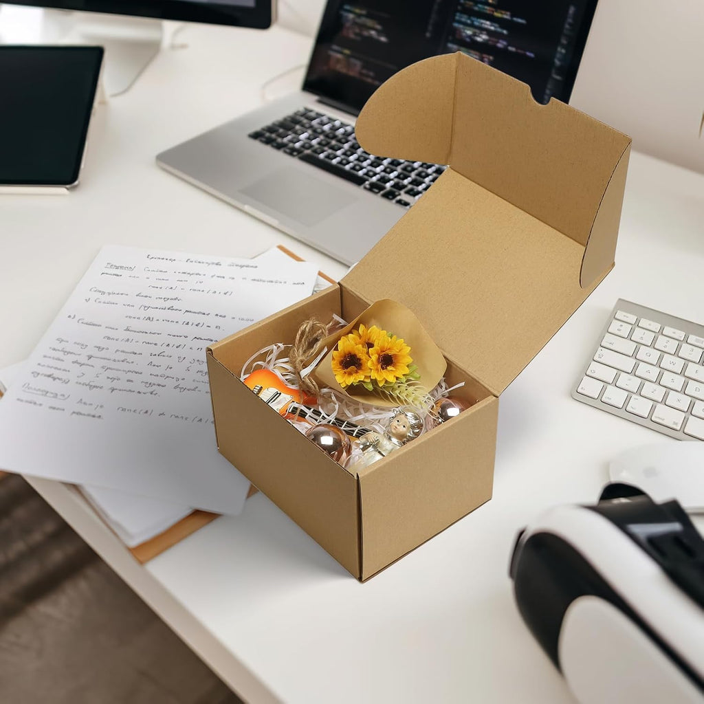 RLAVBL 25 Stück weiße Versandkartons mit den Maßen 22,9 x 15,3 x 10,2 cm für den Versand von Gegenständen, Spielzeug und Geschenken